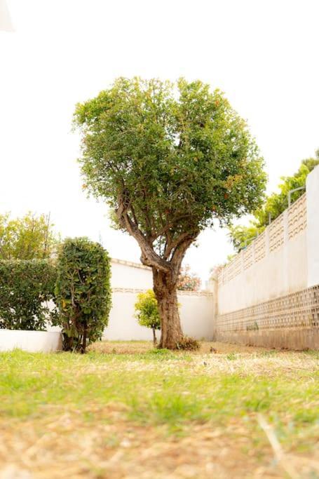 Casa Voramar En Denia A 300M De La Playa别墅 外观 照片